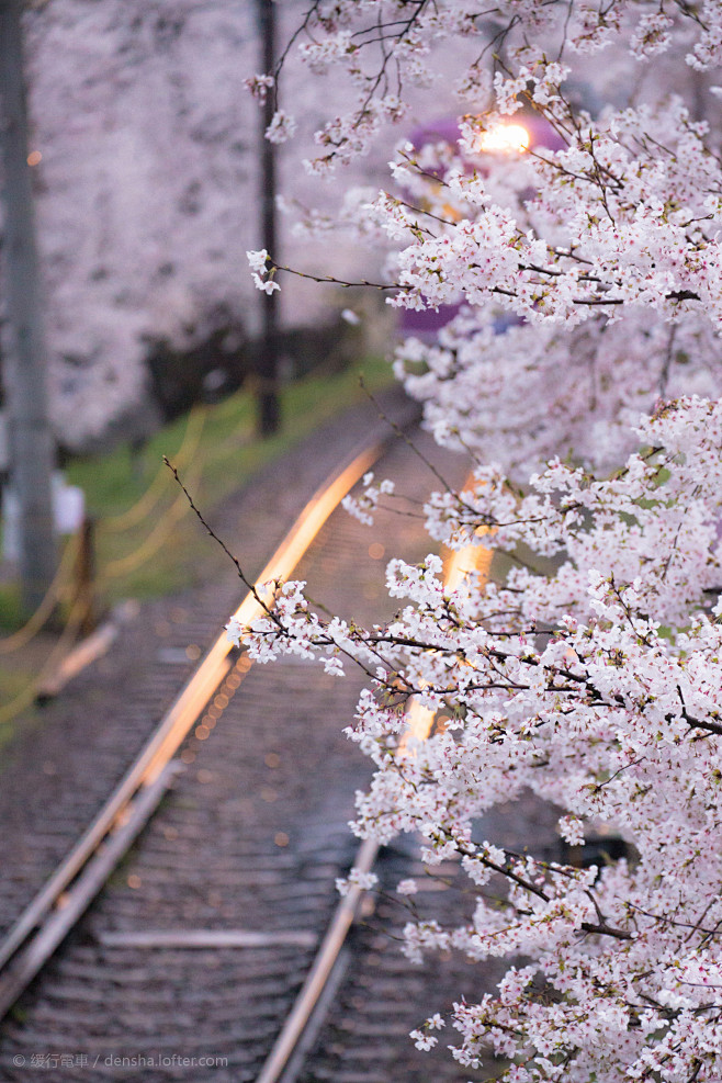 lofter手机版下载(lofter app下载)-第3张图片-QuickQ官网