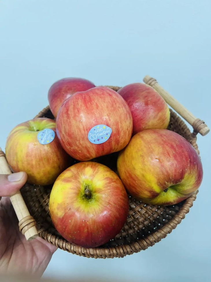 天涯台版苹果(天涯有几个版本)-第3张图片-QuickQ官网