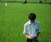 美版苹果v版a版t版(美版苹果分什么v版和s版)-第2张图片-QuickQ官网 美版苹果v版a版t版(美版苹果分什么v版和s版)-第2张图片-QuickQ官网