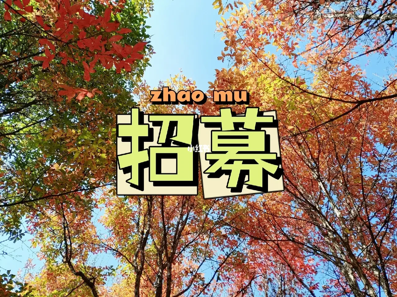 伙伴畅聊安卓版下载官网(伙伴畅聊安卓版下载官网安装)-第4张图片-QuickQ官网 伙伴畅聊安卓版下载官网(伙伴畅聊安卓版下载官网安装)-第4张图片-QuickQ官网