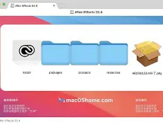 苹果版ae中文版(ae有苹果系统的吗)-第5张图片-QuickQ官网
