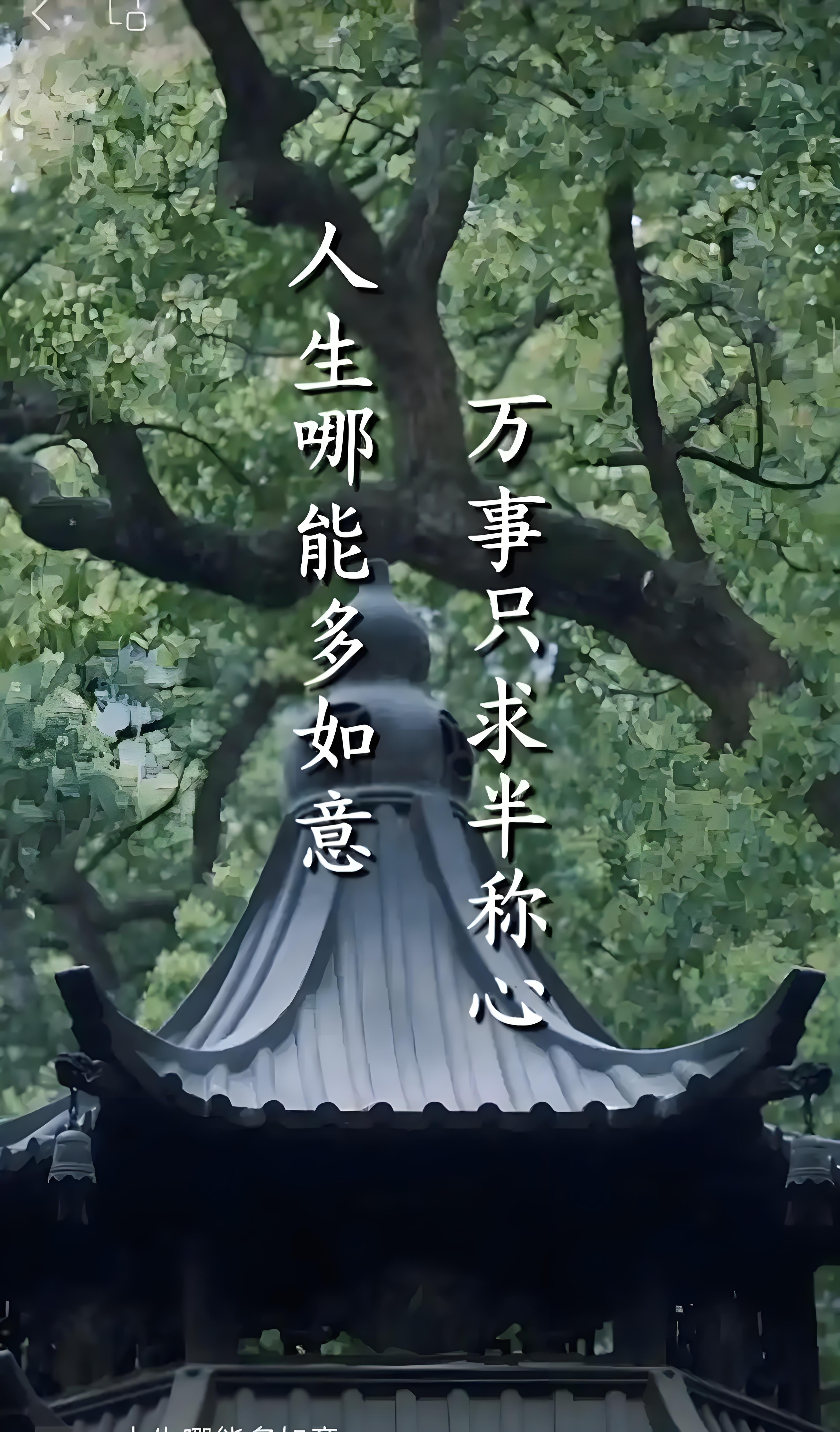 人生壁纸手机版(人生壁纸app手机版)-第1张图片-QuickQ官网