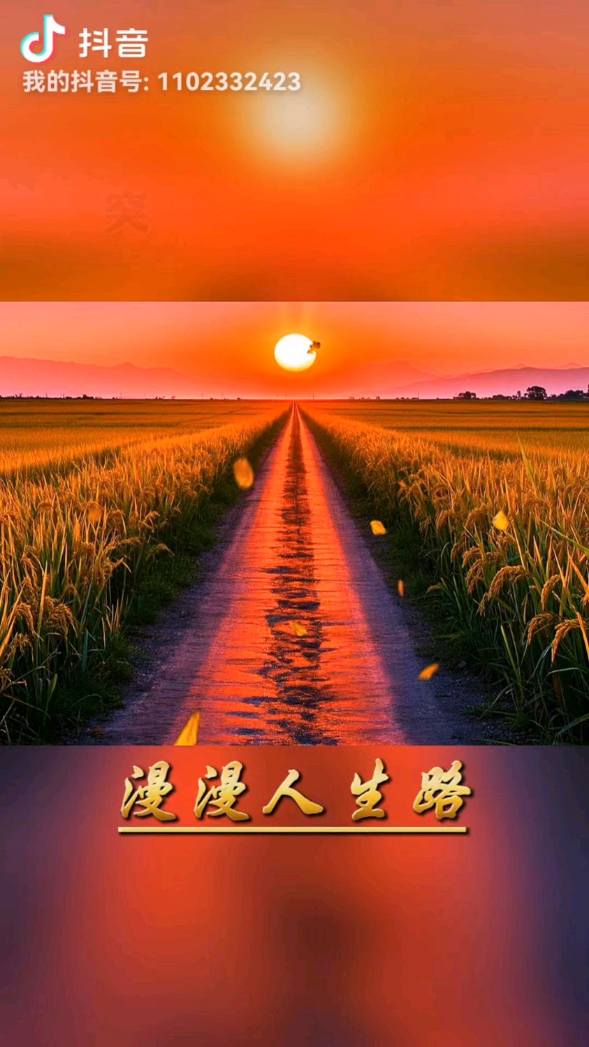 人生壁纸手机版(人生壁纸app手机版)-第4张图片-QuickQ官网